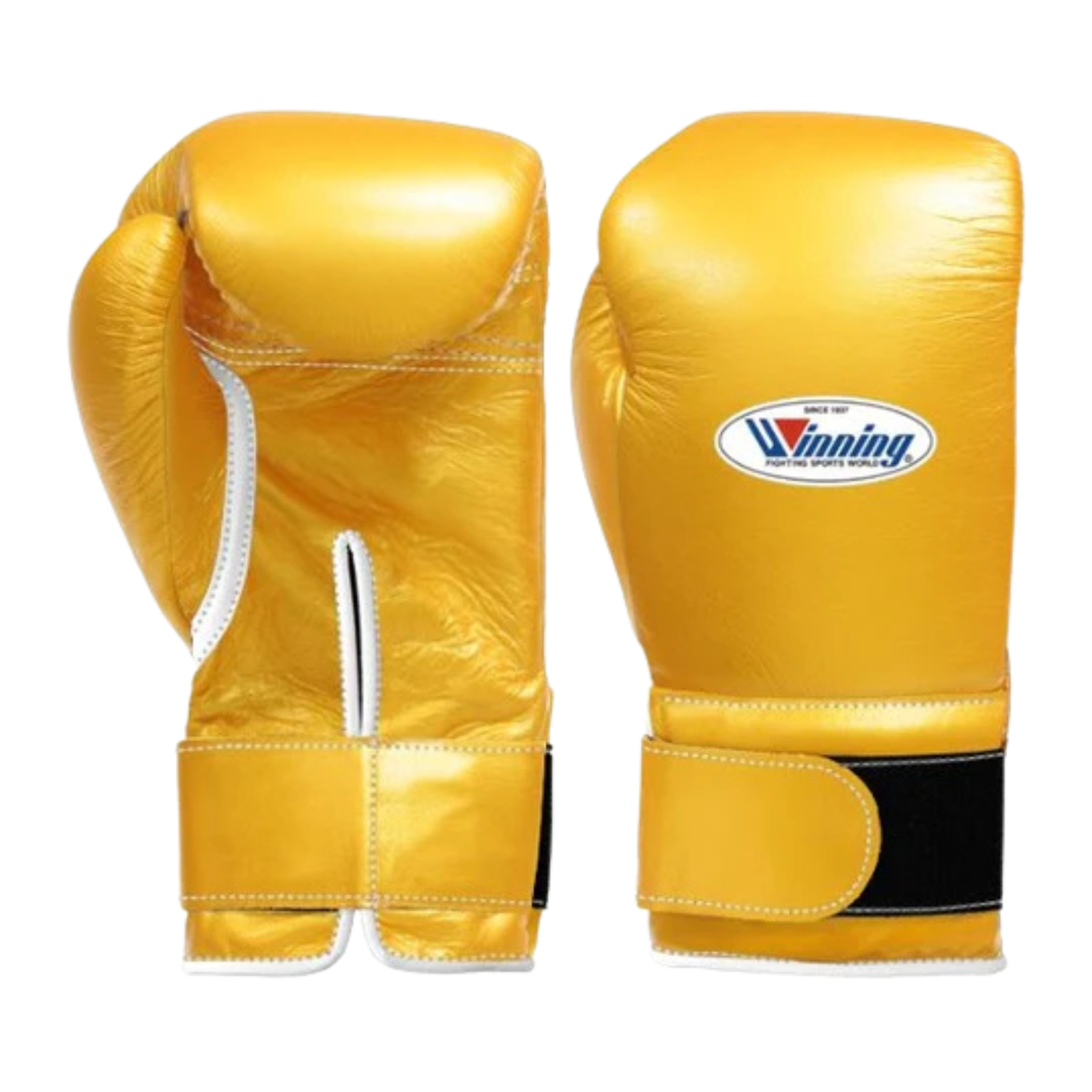 Winning Velcro Boxing Gloves Gold Gym Training &amp; Sparring Gloves